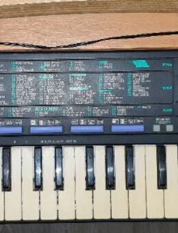 Yamaha PortaSound Pss-21 Vintage Electronic Keyboard - Verden (Aller)