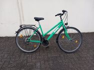 28 Zoll 21 Gang Vivil Fahrrad. Sofort fahrbereit. - Elmshorn