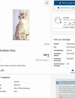 Kater Arabian Mau - Bremen