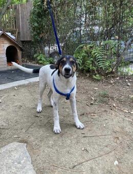 🤎 DARKO 2 🤎 - WO WERDE ICH GELIEBT? - Alfeld (Leine)