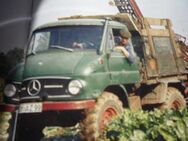 Unimog model 411 421gesucht für waldarbeiten brennholz täglich arbeit fahrbar motor getriebe ok - Neunkirchen (Sand)