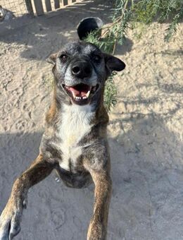 SISKA VERDIENT AUCH EINE EIGENE FAMILIE! - Mönchengladbach