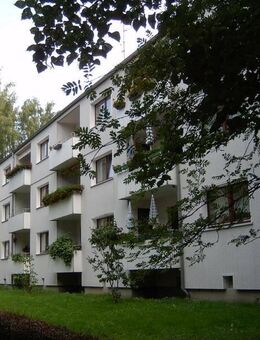 Ideale 3-Zimmer-Wohnung mit Balkon, Küche und Laminat können vom Vermieter übernommen werden! - Braunschweig