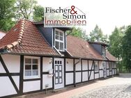 Nienburg-charmantes u. saniertes Fachwerkhaus (Doppelhaus) im Herzen von Nienburg mit Weserblick - Nienburg (Weser)