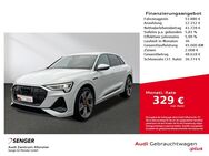 Audi e-tron, 50 quattro S line, Jahr 2023 - Münster