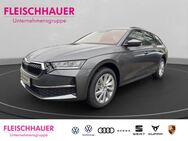 Skoda Octavia, 2.0 TDI Combi Selection Sperrdif, Jahr 2025 - Mönchengladbach