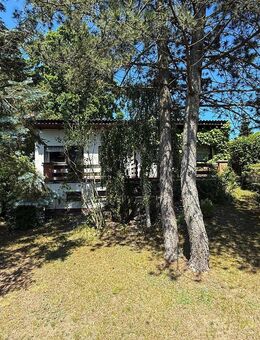 Ferienhaus in Idyllischer Seelage - Zislow