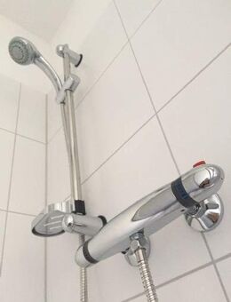 Sanierte 2 Zimmerwohnung mit Tageslichtbad mit Dusche - Colditz
