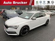 Skoda Superb L&K iV 1.4 TSI Hybrid PDC Rückkamera Navi - Marktredwitz