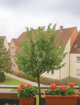 HELL & GROSSZÜGIG MIT BALKON - Müncheberg