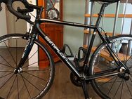 Simplon Serum, Campagnolo Record, Fulcrum Zero - Altenberga