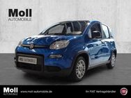 Fiat Panda, Mild Hybrid City Paket Bi-colore Blau Schwarz, Jahr 2024 - Köln