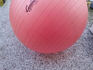 Pezzi Ball 53 cm - Berlin