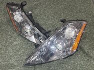 Xenon Scheinwerfer links rechts Nissan Murano I Z50 komplett - Gifhorn