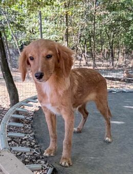 Igor möchte die Welt kennen lernen - Schwabach