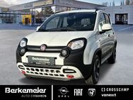 Fiat Panda, 1.0 l Cross 70PS Klimaauto_Sensoren, Jahr 2024 - Münster