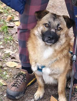 Lenny wartet in Nürnberg! - Nürnberg