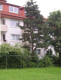 Familien aufgepasst: Tolle Erdgeschosswohnung zu vergeben. - Osnabrück