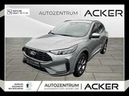 Ford Kuga, 1.5 EcoBoost ST-Line, Jahr 2024 - Bad Berleburg