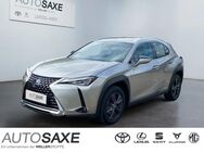 Lexus UX 250h, Launch Edition SmartKey, Jahr 2019 - Leipzig Alt-West