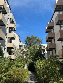 Gemütliche 1-Raum-Wohnung mit Pantryküche und Terrasse - Dresden