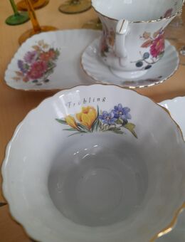 SAMMELTASSEN - Zehdenick