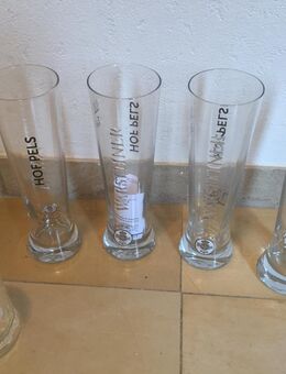 Biergläser > Warsteiner + Karlsberg Ur-Pils - Emsdetten Zentrum