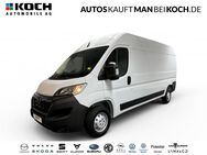 Opel Movano, 2.2 Cargo L3H2, Jahr 2023 - Ahrensfelde