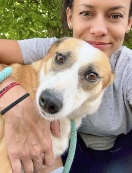 DARCY ist ein sanftes ruhiges Mädchen ♥️ - München