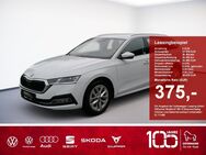 Skoda Octavia, 2.0 TDI Com Style, Jahr 2023 - Eggenfelden