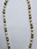 h15) Perlenkette - 1 reihig Kette Halskette mit vers. farbigen Perlen - Länge 50 cm in 30823