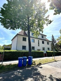 Schönes Mehrfamilienwohnhaus auf ca. 2000m² Grundstück inkl. bereits genehmigter Bauvoranfrage für weiteres Haus !!! - Kölleda