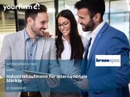 Industriekaufmann für internationale Märkte - Steinheim