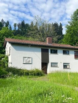 Einfamilienhaus mit Einliegerwohnung - Sulzburg