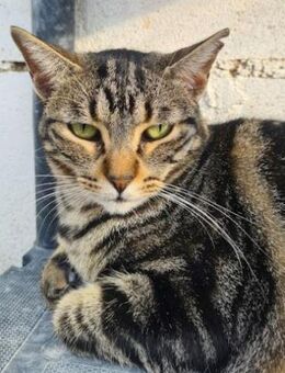 Ginebra - Fürsorge und vor allem Geduld - Poing