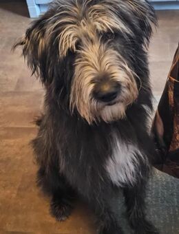 Melody - Ludwigshafen (Rhein)