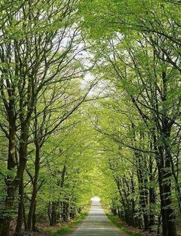Wohnen an der Dresdner Heide mit Balkon, Terrasse & eigenem Garten! - Radeberg