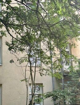 Charmantes Altbaujuwel im Herzen von Hamburg-Altona - Hamburg
