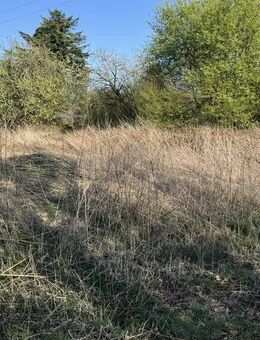 Reserviert! Grundstück im Musikerviertel in Cloppenburg - 894 m² - Ein-/ Zweifamilienhausbebauung mgl. - Cloppenburg