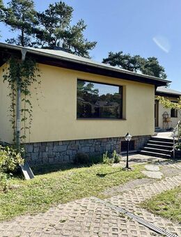 Traumhaftes Grundstück mit Bungalow für Naturliebhaber! - Möser