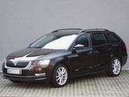 Skoda Octavia, 2.0 TDI Combi Style Reise Amundsen 17", Jahr 2020 - Burgstädt