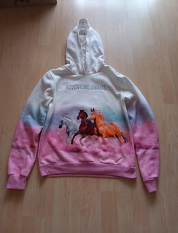C&A Hoddie mit Pferde Motiv // 158 / 164 // 9€ - Rheda-Wiedenbrück