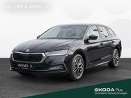 Skoda Octavia, 2.0 TDI Combi Style, Jahr 2024 - Schweinfurt