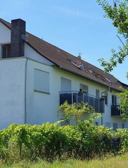 11 Wohnungen - 6 % Rendite! MFH in Rimbach-OT - Rimbach (Hessen)