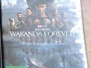 Black Panther Wakanda Forever dvd - Nordenham Zentrum