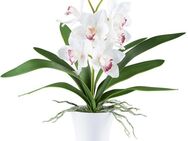 Kunstorchidee Orchidee Cymbidie, Creativ green, Höhe 53 cm, mit real-touch-Blüten
