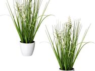 Kunstgras Blüten-Gras-Mix, Creativ green, Höhe 41 cm, in weißer Kunststoffschale