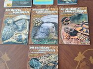 Landschildkröten Fachliteratur u. Informationsliteratur günstig abzugeben - Parchim