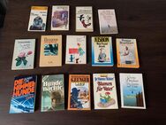 Diverse Bücher - Romane ☘️ab 1,00€ - Vilshofen (Donau) Zentrum