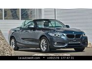 BMW 220 d Cabrio Advantage Sport Navi Shzg Klima Xen - Friedrichsdorf